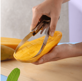 Dual Sided Peeler, Stainless Steel Asparagus Vegetable Peeler Tomato Potato Remover with Handle Kitchen Peeler for Making Delicious Veggie Noodles