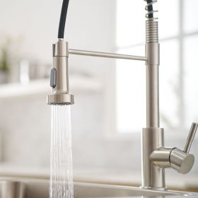 Commercial Brushed Nickel Kitchen Faucet with Pull Out Sprayer, Single Handle Single Lever Kitchen Sink Faucet